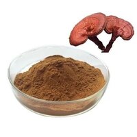 Ganoderma Extract