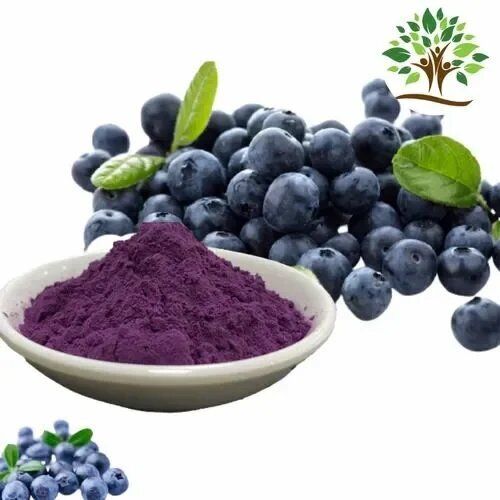 Bilberry Extract