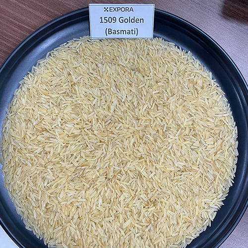 1509 Long Grain Golden Basmati Rice - Organic Long Grain, Golden Color, 12.5% Moisture, 95% Purity, 1.5% Broken, 1% Damage | Aromatic, Soft Texture, Ideal for Biryanis and Pilafs