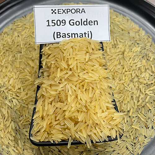 1509 Golden Basmati Rice - Long Grain, Golden Color, 12.5% Moisture, Organic, 1.5% Broken, 95% Purity, 24 Months Shelf Life, Dried