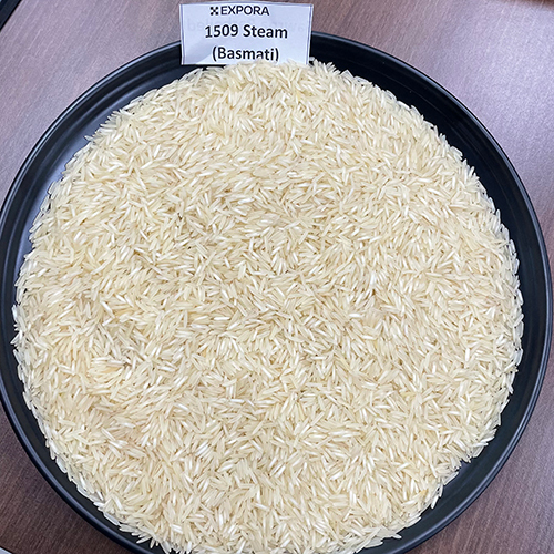 1509 Steam Basmati Rice - Long Grain, White Color, 95% Purity, 1.5% Broken Grains | Organic, Dried, 24 Months Shelf Life, 13% Moisture
