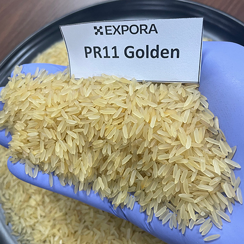 PR11 Golden Rice - Long Grain, Golden Color, Organic Cultivation | 1.5% Broken, 1% Damage, 12.5% Moisture, 24 Month Shelf Life