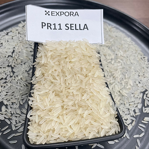 PR11 White Long Grain Sella Rice - Organic, Dried, White Color, 12.5% Moisture, 1.5% Broken Grains, 1% Damage, 24 Months Shelf Life | Ideal for Biryani & Fried Rice