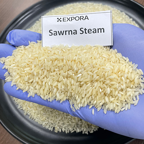 Swarna Steam Masoori Rice - Short Grain, Golden Color, 95% Purity | 14% Moisture, 2% Damage, 5% Broken, 24 Months Shelf Life, Organic Cultivation