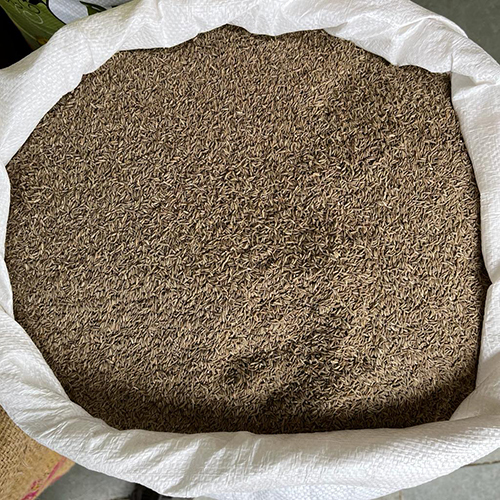 Brown Natural Cumin Seeds