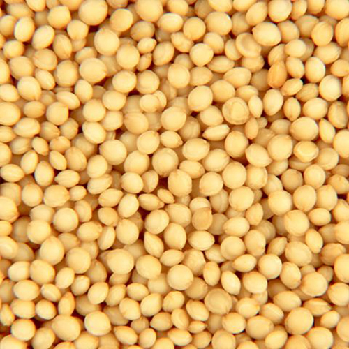 Rajgira Seeds - Premium Quality Solid Amaranth Seeds | Light Yellow Color, Ideal for Gluten-Free Baking & Cooking, Store in Cool & Dry Place