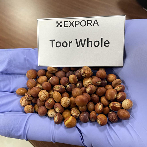 Toor Whole - Solid Brown Lentils | Premium Grade, Versatile Ingredient for Dals, Curries, & Soups, Keep Stored in a Cool & Dry Place
