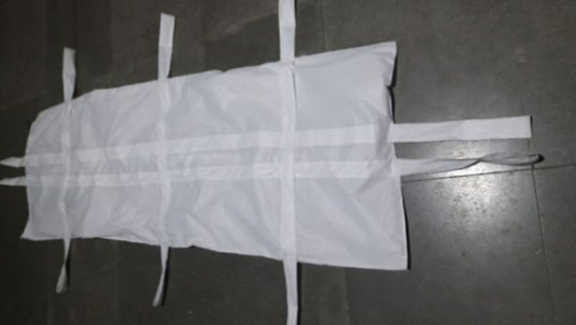 Disposable Body Cover/bag