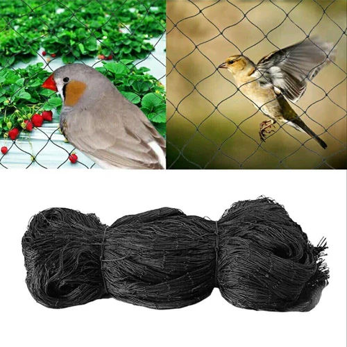 Affordable Anti Bird Net, Industrial Black Square Netting, Hyderabad