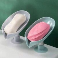 soap case