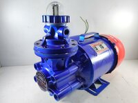 Lpg Transfer Pump 2 Hp Flow Rate: 2kg Per Minute
