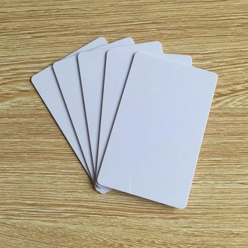 Palin PVC Card