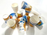 250 ml paper cup