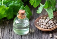 Coriander Oil Premium