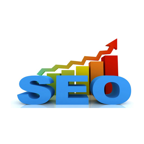 Search Engine Optimization Services By HERTZ INDIA INC