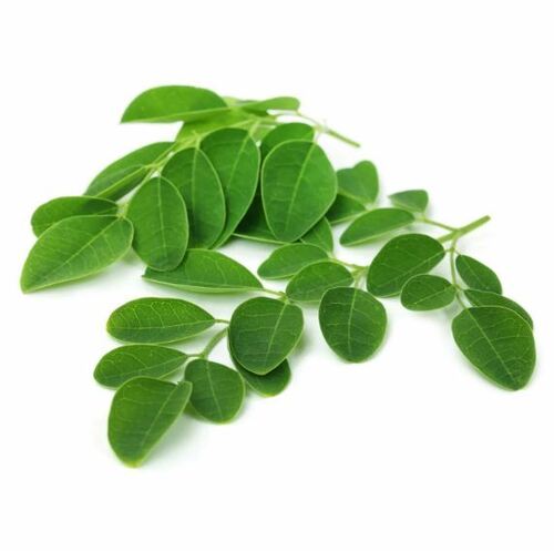 Curry Leaf Oil Premium