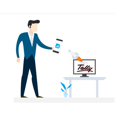 Tally Mobile App- Biz Analyst Software