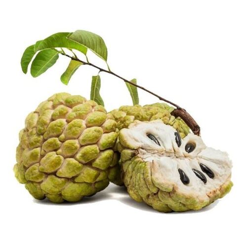 Custard Apple Seed Oil Premium