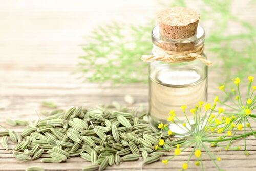 Fennel Oil Premium