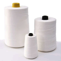 Anti-UV Polyester Thread 40S/2 5000Y UV Resistance Sewing Thread