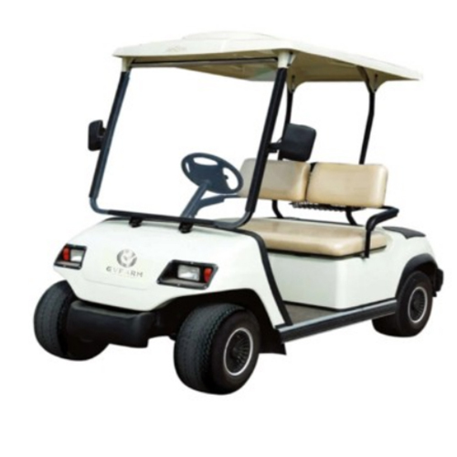 2 Seater E Golf Cart