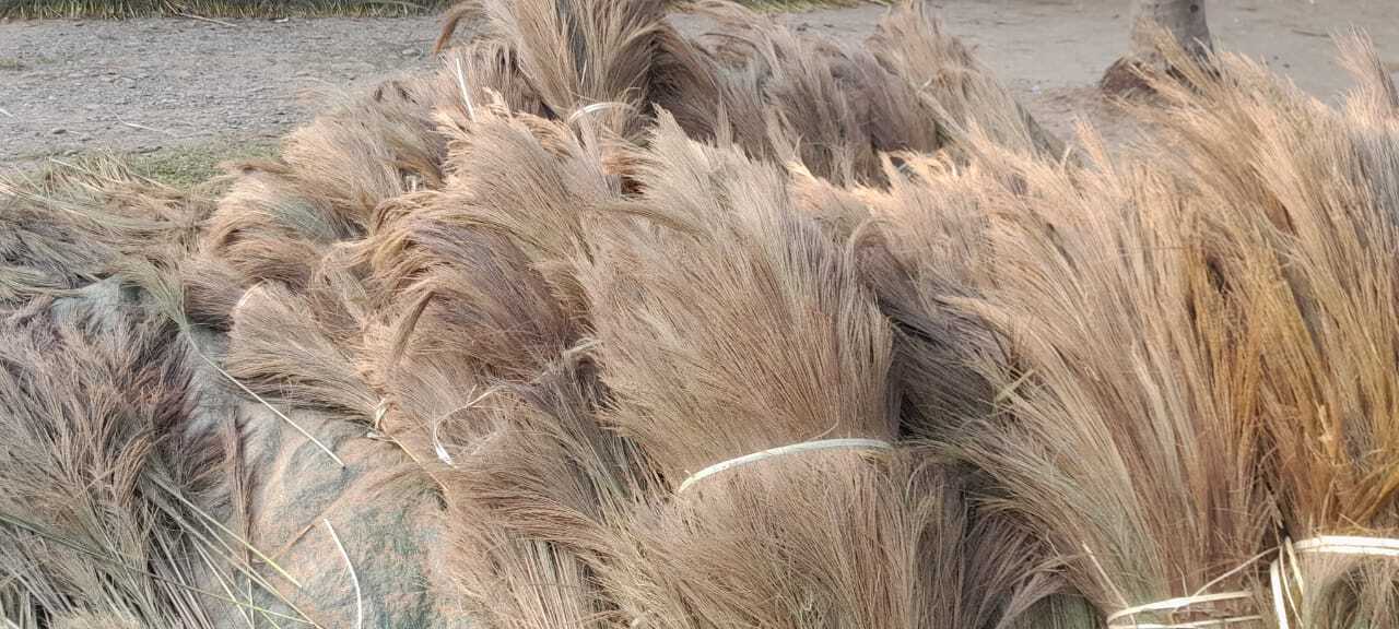 Household Soft Grass Brooms