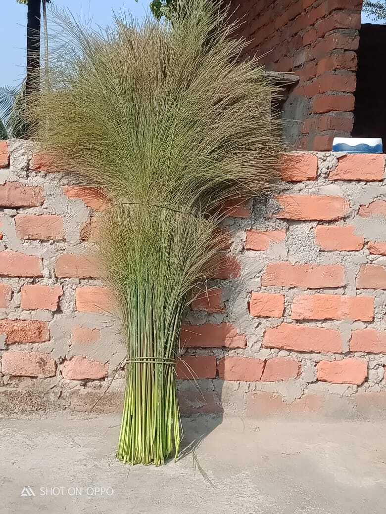 Household Soft Grass Brooms