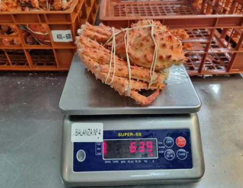 New Season Frozen Boiled King Crab Packaging: Barrel