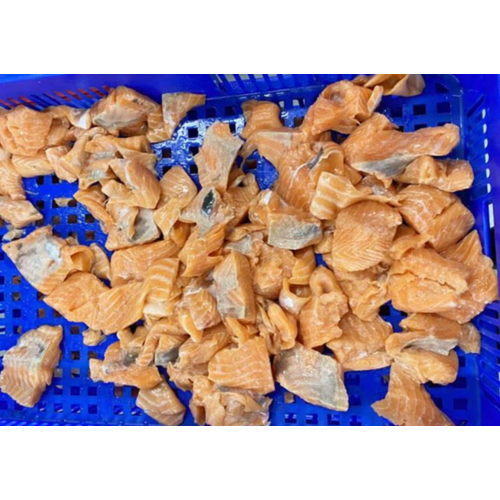 Frozen Atlantic Salmon Bits And Pieces