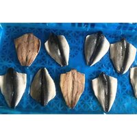 Pacific Mackerel Butterfly Fillet