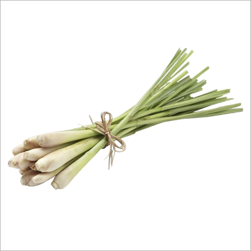 Lemongrass Oil