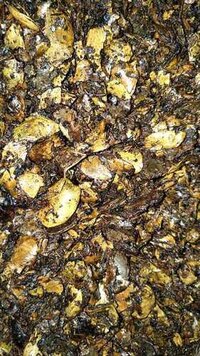 Cashew Nut Shell Cake - Industrial Grade, Brown Color | Ideal For Diverse Applications