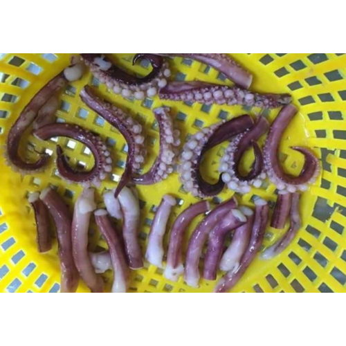 Frozen Squid Tentacles Mix