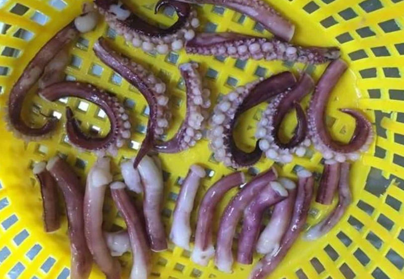 Frozen Squid Tentacles Mix