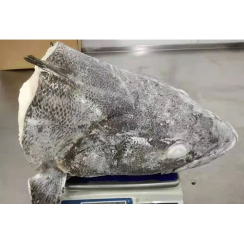 Frozen Chilean Seabass Head