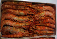 Frozen Argentina Red Shrimp