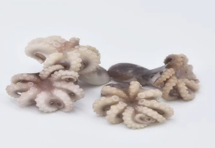Frozen Cleaned Baby Octopus