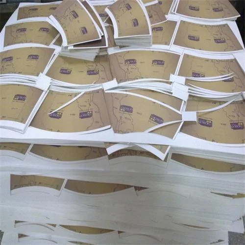 PE Coated Paper Cup Blank Material