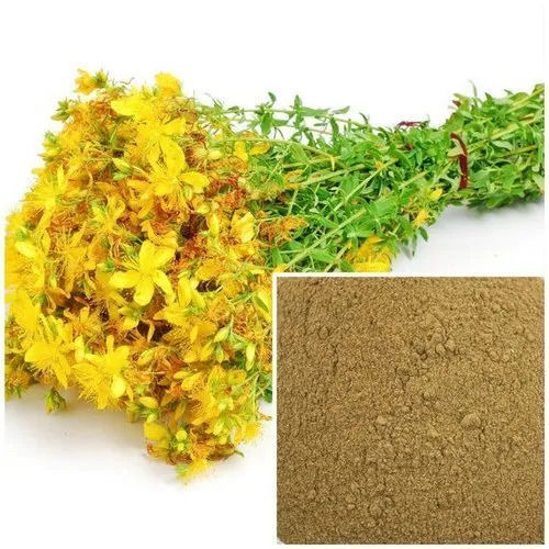 St John Wort Extract