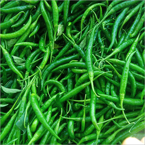 Green Chillies