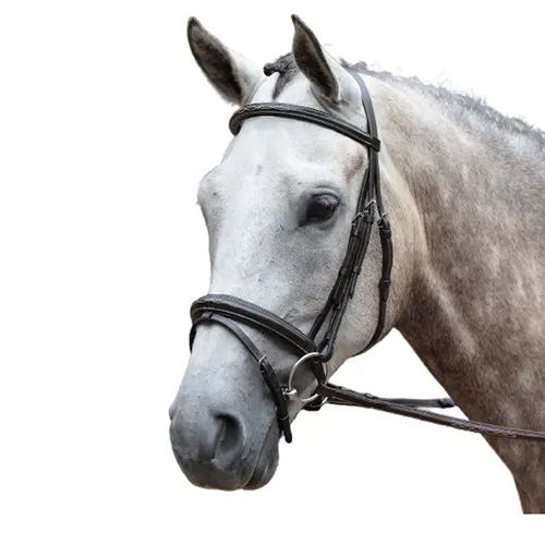 Export Quality Indian Dd Leather Double Bridle With Wide Nose Band Application: Horse Riding