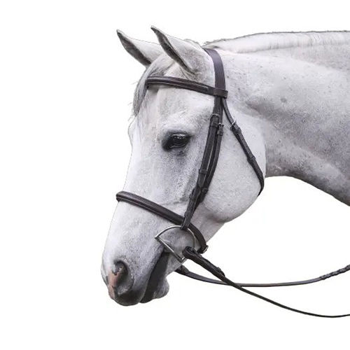Top Quality Traditional And Simple English bridle