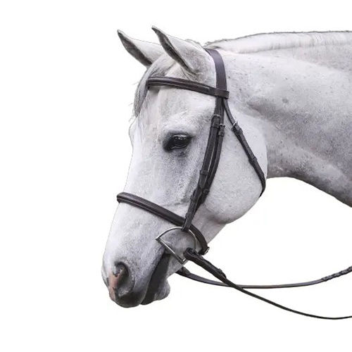 Top Quality Traditional And Simple English Bridle Application: Horse Riding