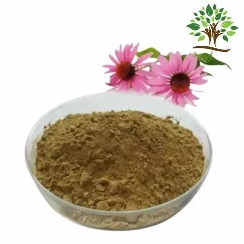 Echinacea Extract