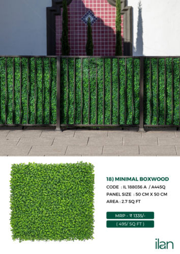 MINIMAL BOXWOOD