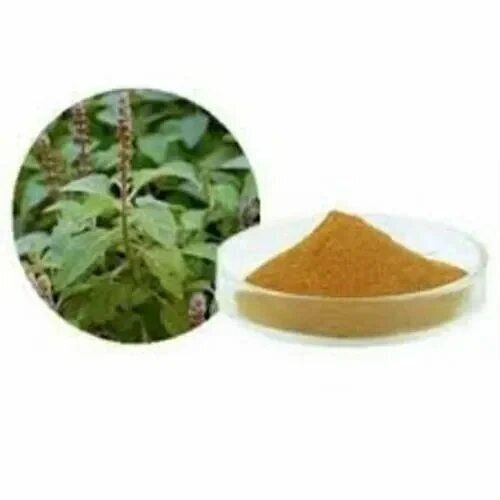 Coleus Extract