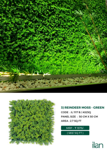 RENDEER MOSS - GREEN