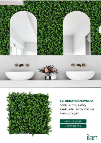 URBAN BOXWOOD