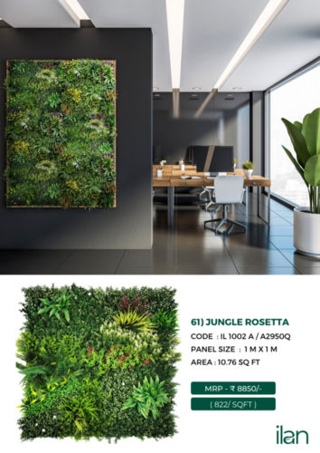 JUNGLE ROSETTA