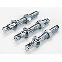 Wedge Anchor - Color: Silver